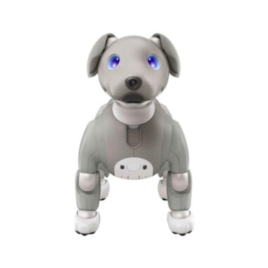 Puppy leash blue